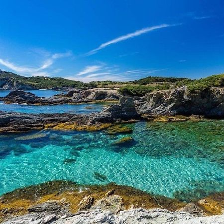 Vacances idéales limite Sanary sur mer !! logement partagé shared apartment Ollioules Esterno foto