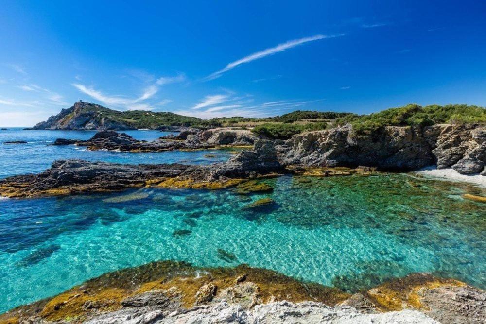 Vacances idéales limite Sanary sur mer !! logement partagé shared apartment Ollioules Esterno foto